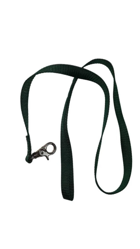 Lovely Kedi Köpek Şerit Gezdirme Kayışı Yeşil 1,5cm - 120cm ürün görseli 1