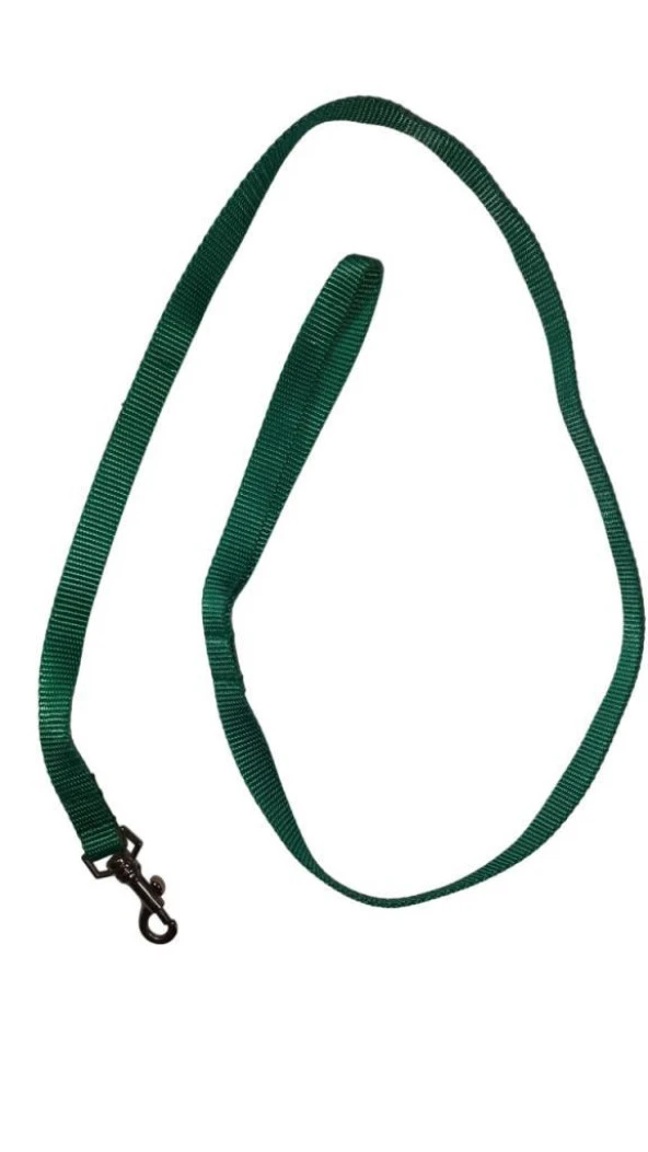 Lovely Kedi Köpek Şerit Gezdirme Kayışı Açık Yeşil 1,5cm - 120cm ürün görseli 1