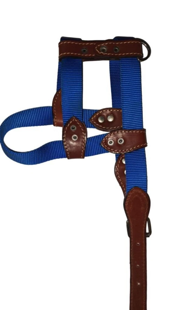 Lovely Ayarlanır Köpek Göğüs Tasması 2,5cm 10-20 Kg Aralığındaki Köpeklere MAVİ ürün görseli 1