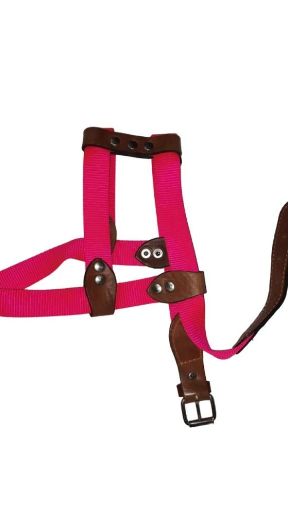 Lovely Ayarlanır Köpek Göğüs Tasması 2,5cm 10-20 Kg Aralığındaki Köpeklere PEMBE ürün görseli 1