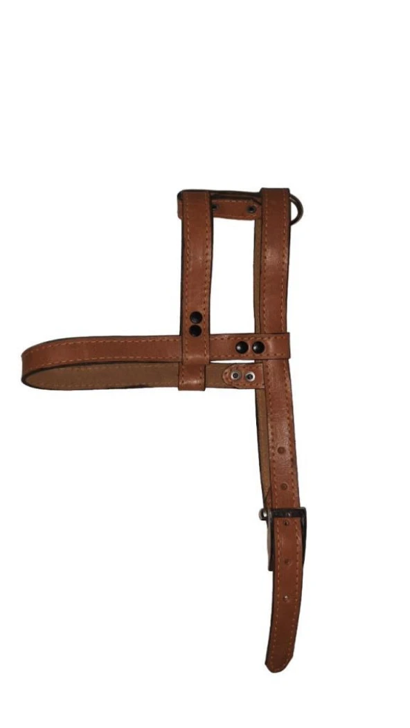 Lovely Hakiki Deri Ayarlanır Köpek Göğüs Tasması 2cm 5-17Kg Köpeklere KAHVE ürün görseli 1