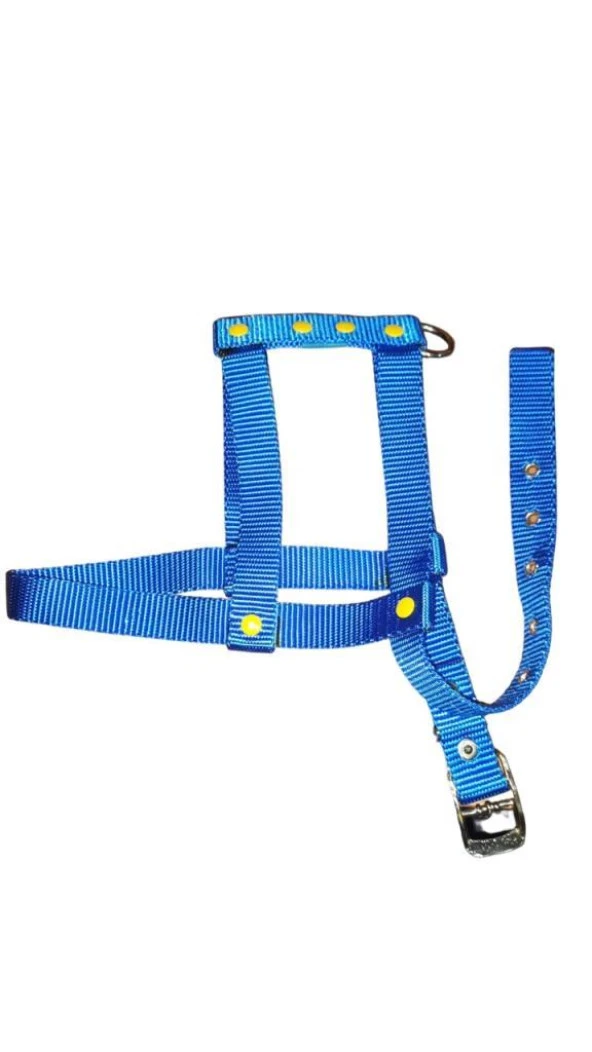Lovely Ayarlanır Köpek Göğüs Tasması 2cm 5-17 Kg Aralığındaki Köpeklere MAVİ ürün görseli 1