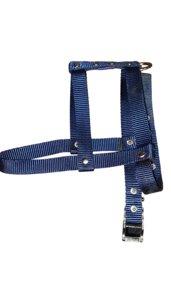 Lovely Ayarlanır Köpek Göğüs Tasması 2cm 5-17 Kg Aralığındaki Köpeklere LACİVERT ürün görseli 1