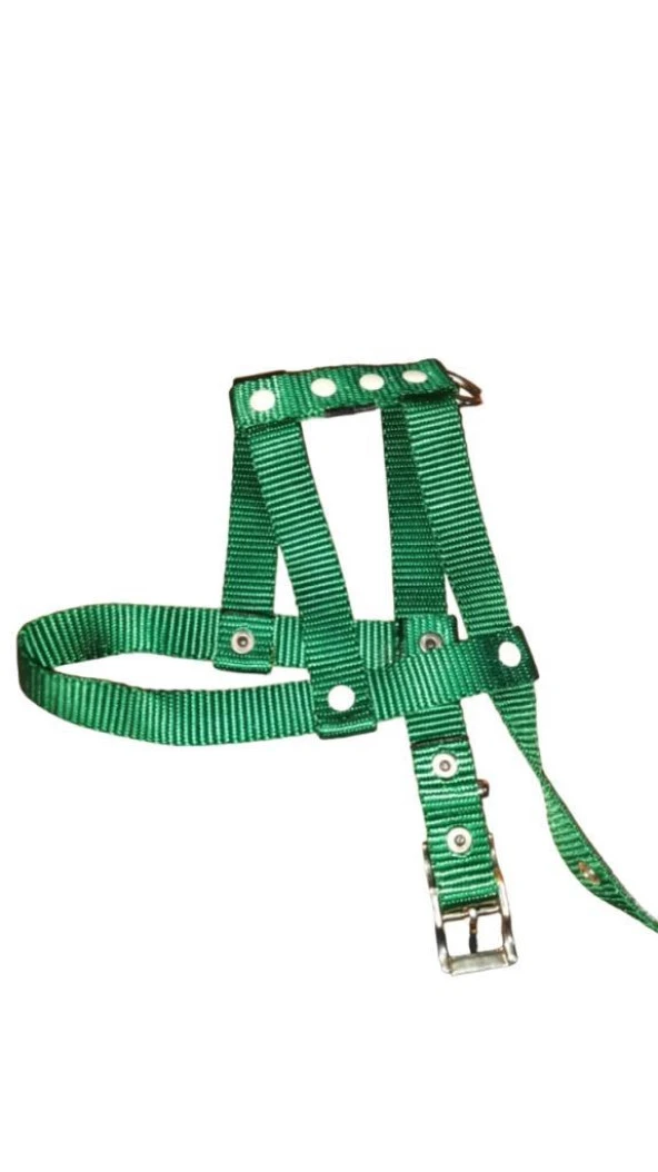 Lovely Ayarlanır Köpek Göğüs Tasması 2cm 5-17 Kg Aralığındaki Köpeklere YEŞİL ürün görseli 1