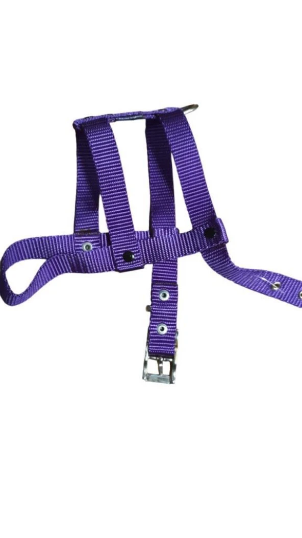 Lovely Ayarlanır Köpek Göğüs Tasması 2cm 5-17 Kg Aralığındaki Köpeklere MOR ürün görseli 1