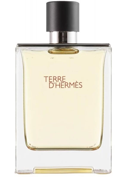 Hermes Terre D'Hermes EDT 100 ml Erkek Parfüm ürün görseli 1