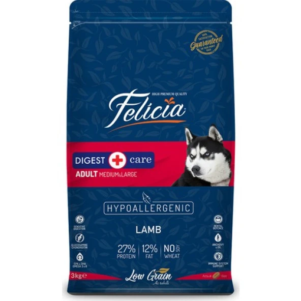 Felicia HypoAllergenic Orta ve Büyük Irk Kuzulu Düşük Tahıllı Yetişkin Köpek Maması 3kg ürün görseli 1