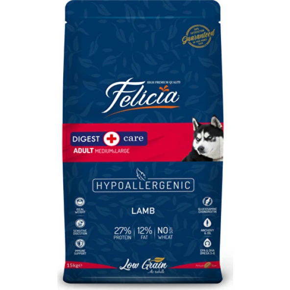 Felicia HypoAllergenic Orta ve Büyük Irk Kuzulu Düşük Tahıllı Yetişkin Köpek Maması 15kg ürün görseli 1
