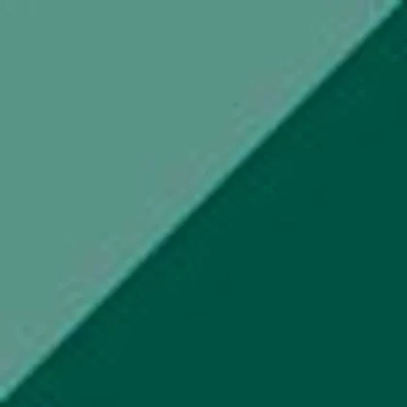 Zig Brushables 2 Renk Tonu Fırça Uçlu Marker Kalem 040 Pure Green ürün görseli 1