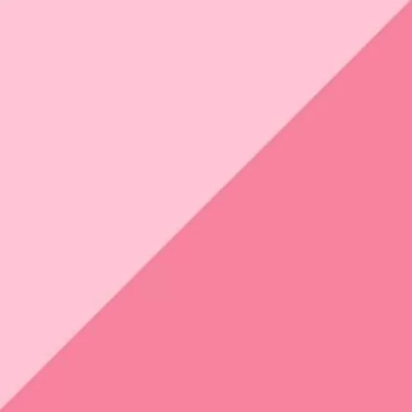 Zig Brushables 2 Renk Tonu Fırça Uçlu Marker Kalem 026 Baby Pink ürün görseli 1