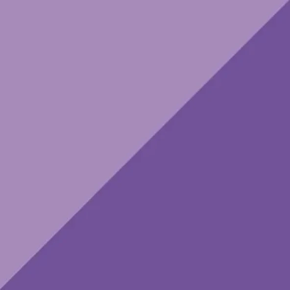 Zig Brushables 2 Renk Tonu Fırça Uçlu Marker Kalem 080 Pure Violet ürün görseli 1