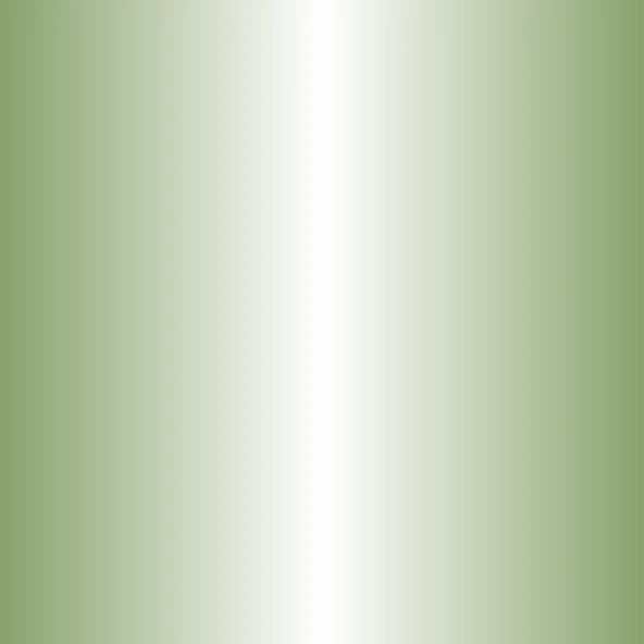 Zig Writer Metallic Colours Çift Uçlu Marker Kalem 128 Light Green ürün görseli 1