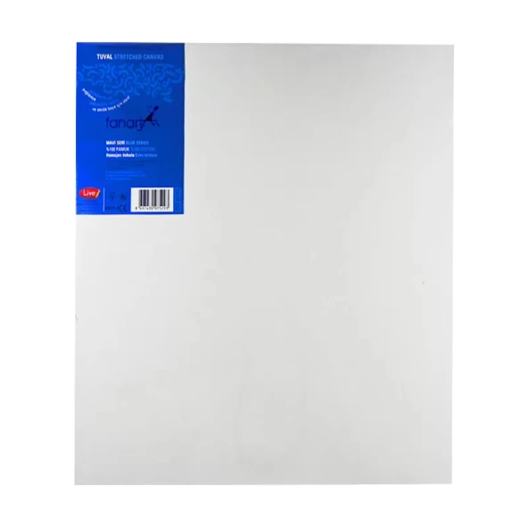 FANART ACADEMY GENÇ ÇERÇEVELİ TUVAL 50x70cm (8011.5070) ürün görseli 1