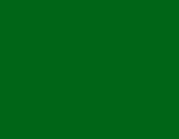 Maries Akrilik Boya 500ml A-6500B-568 Sap Green ürün görseli 1