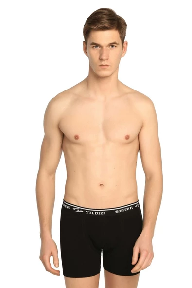 6 Lı Paket Seher Erkek Likralı Boxer 0060 ürün görseli 1