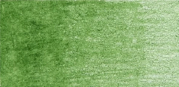 Derwent Coloursoft Kuru Boya Kalemi Pea Green C430 ürün görseli 1
