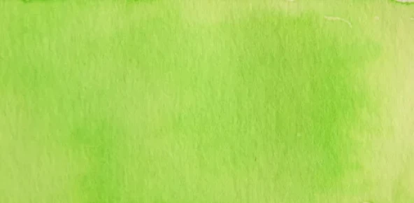 Talens Ecoline 30ml Pastel Green No:666 ürün görseli 1
