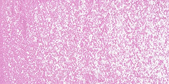 Sennelier Yağlı Pastel 095 Cobalt Violet Light Hue ürün görseli 1