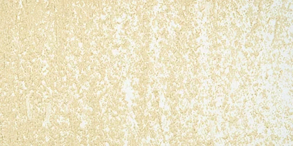 Sennelier Yağlı Pastel 099 Titanium Buff ürün görseli 1