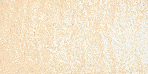 Sennelier Yağlı Pastel 233 Gold Yellow ürün görseli 1