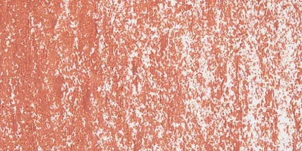 Sennelier Yağlı Pastel 231 Gold Brown ürün görseli 1