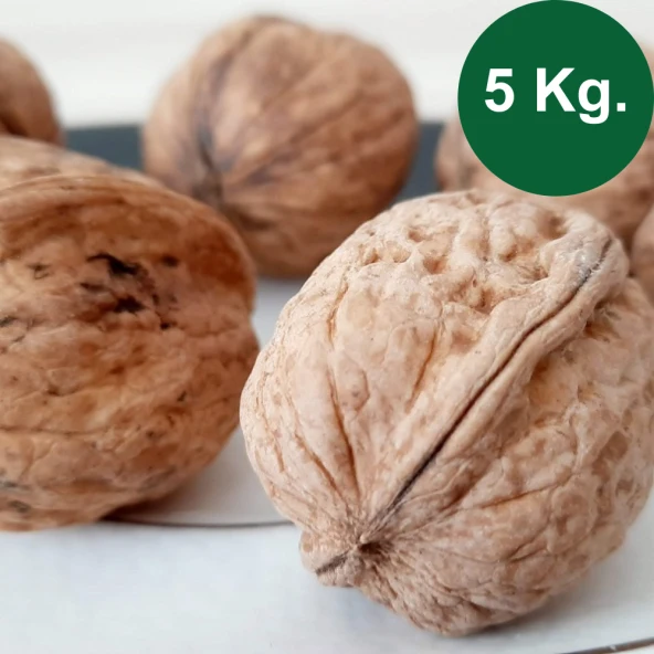Kabuklu Ceviz 5 Kg ürün görseli 1