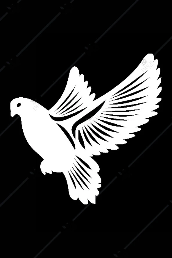 Zarif Güvercin Ahşap Duvar Dekorasyonu - Resim 2