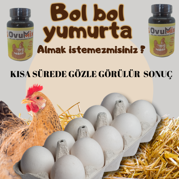 Tavuklarınız BOL BOL YUMURTLASIN istermisiniz ? ürün görseli 1