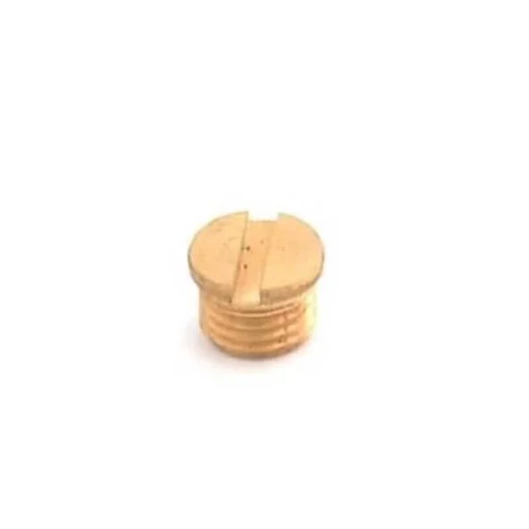 Kingstar PLS-70-B52 Mini Kumaş Kesim Motoru Kömür Kapak ürün görseli 1