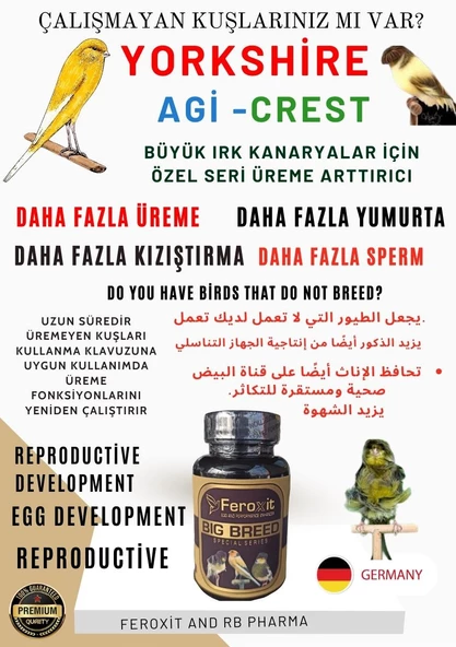 BÜYÜK IRK KANARYALAR İÇİN ÖZEL OLARAK GELİŞTİRİLEN DAHA FAZLA ÜREME VE YUMURTA GEİŞİMİ İÇİN MİX 100 G ürün görseli 1
