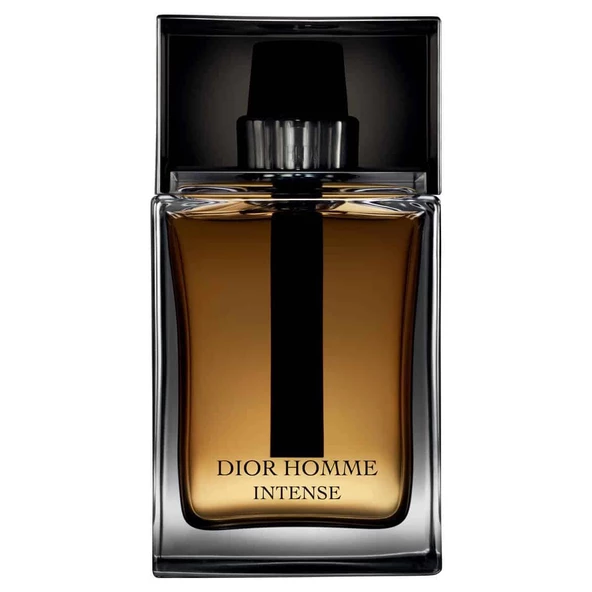 Dior Homme Intense EDP 100 ml Erkek Parfüm ürün görseli 1