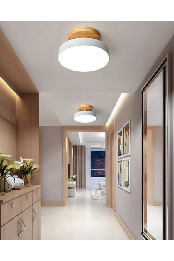 SimaAvize Sima Avize Modern Tekli Led Davul Avize - Resim 2