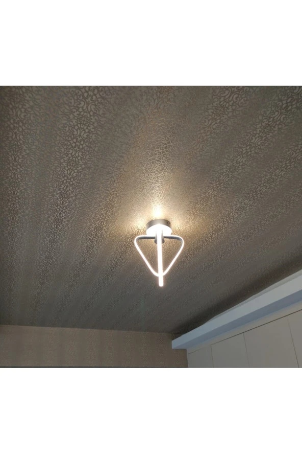 SimaAvize Tekli Çilek Led Avize - Resim 3