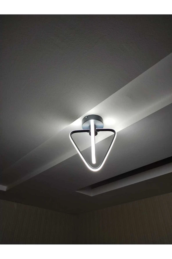 SimaAvize Tekli Çilek Led Avize - Resim 5