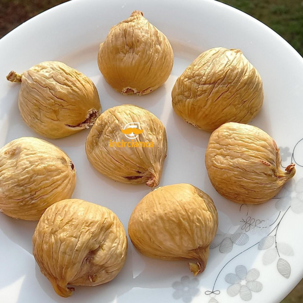 İri Boy Kuru İncir 3kg ürün görseli 1
