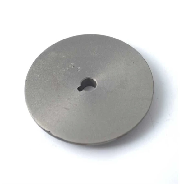 Yuki Model Disk - Resim 2