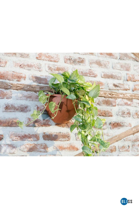1,4 Litre Antrasit Yarım Duvar Dekoratif Balkon Saksısı Bahçe Duvarı Mat Plastik Saksı ürün görseli 1