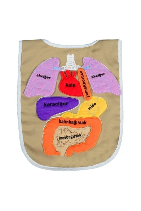 Organ Önlüğü ürün görseli 1