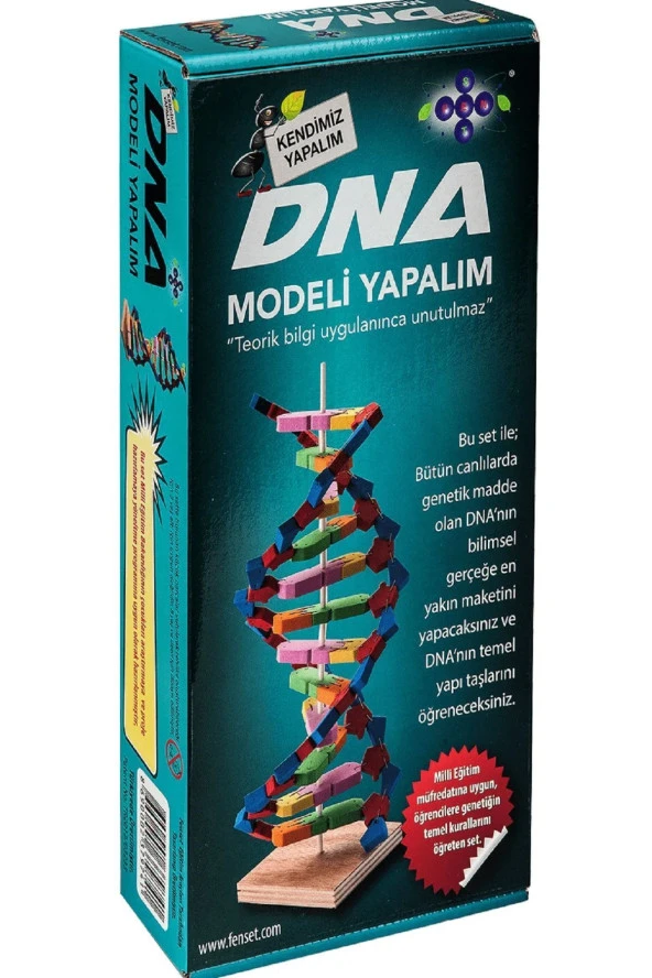 Dna Modeli Yapalım Deney Seti - Resim 3