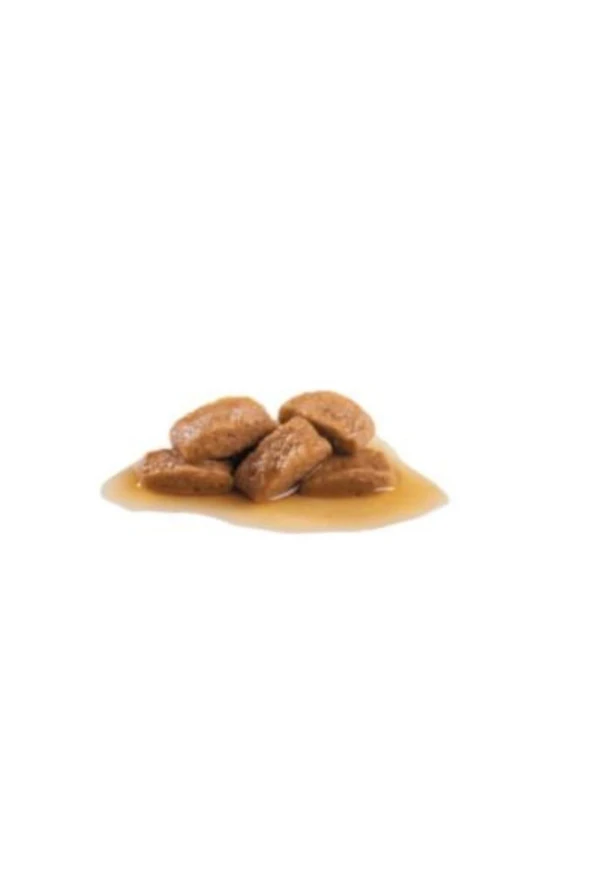 Royal Canin Maxi Adult Köpek Yaş Maması 140g ürün görseli 1