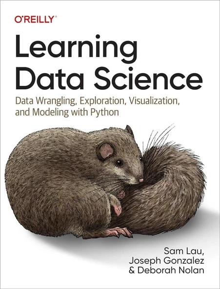 Learning Data Science: Data Wrangling, Exploration, Visualization, and Modeling With Python Lau Gonzalez ürün görseli 1