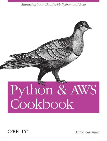 Python and AWS Cookbook Cookbook Steele ürün görseli 1