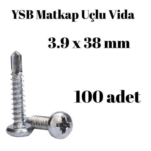 Yıldız Silindir Başlı 3.9x38 YSB Matkap Uçlu Akıllı Vida 100 Adet ürün görseli 1