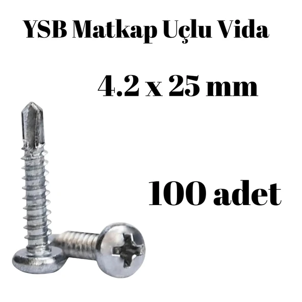 Yıldız Silindir Başlı 4.2x25 YSB Matkap Uçlu Akıllı Vida 100 Adet ürün görseli 1