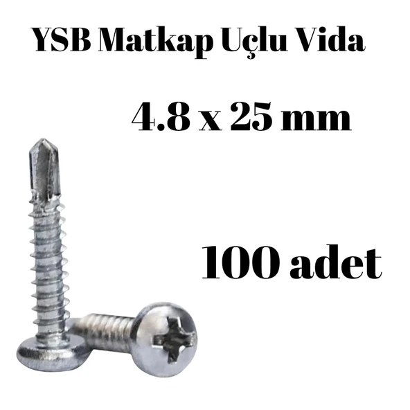 Yıldız Silindir Başlı 4.8x25 YSB Matkap Uçlu Akıllı Vida 100 Adet ürün görseli 1