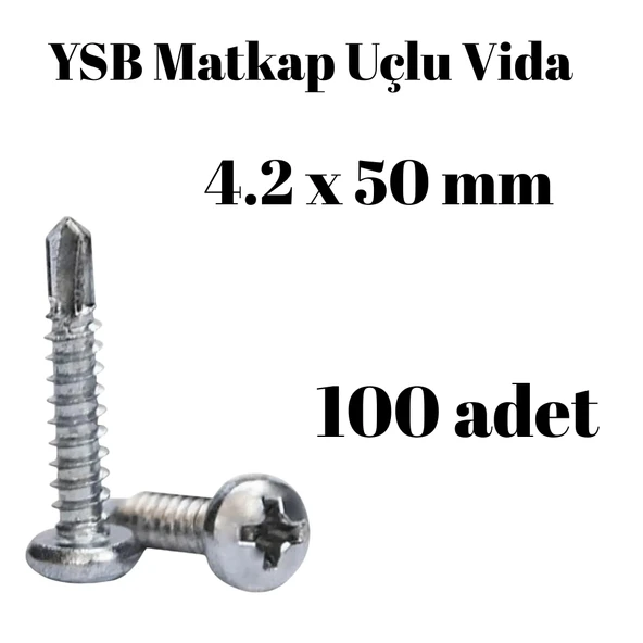 Yıldız Silindir Başlı 4.2x50 YSB Matkap Uçlu Akıllı Vida 100 Adet ürün görseli 1