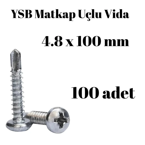 Yıldız Silindir Başlı 4.8x100 YSB Matkap Uçlu Akıllı Vida 100Adet ürün görseli 1