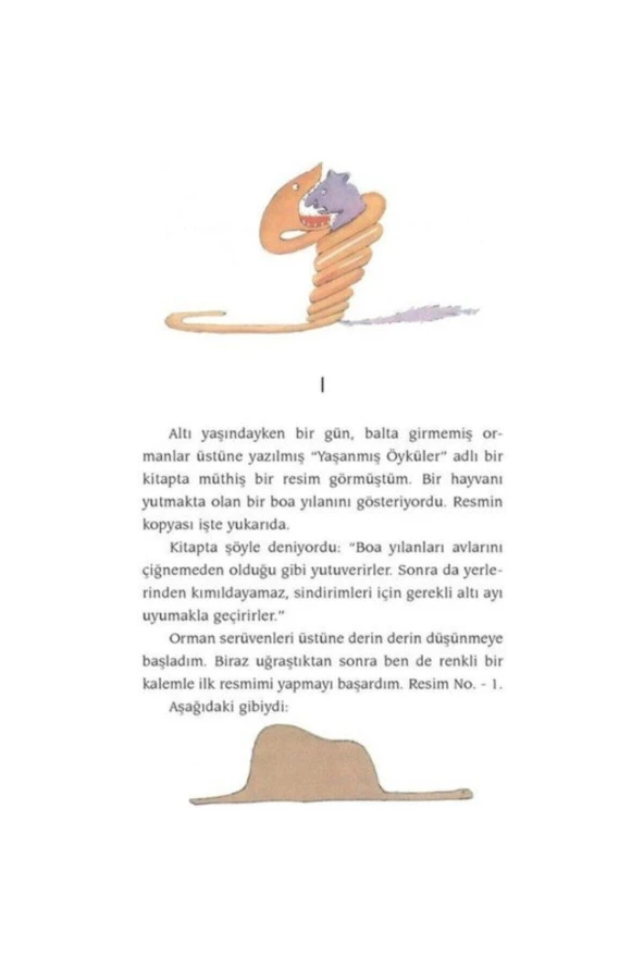 Küçük Prens (türkçe Kitap) - Resim 7