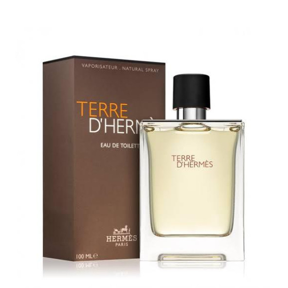 Hermes Terre D'Hermes EDT 100 ml Erkek Parfümü ürün görseli 1