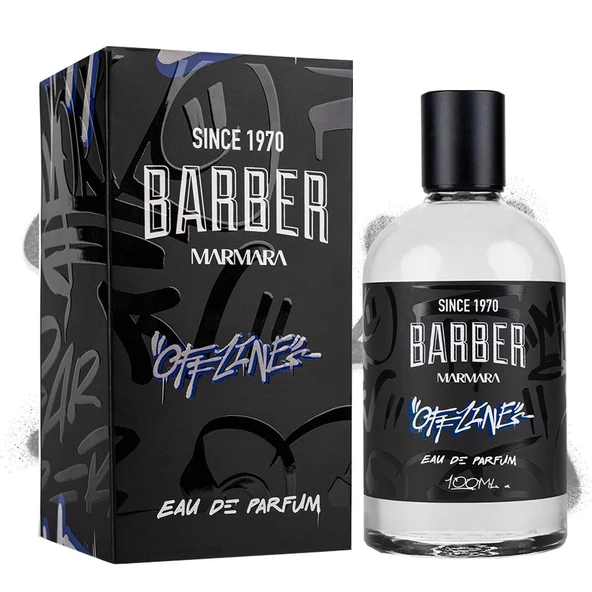 Offlıne Edp Erkek Parfüm 100 ML ürün görseli 1